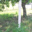 One Storey House And A New Building In Common Yard