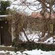 One Storey House On The Seasise