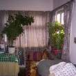 Rural house with garden for sale near Yambol