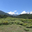 Plot Among Beautiful Nature In Bansko!!!