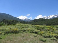 Trama tra la natura bella in Bansko