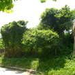Regulated plot in Sandanski