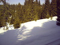 Regulated land in Pamporovo