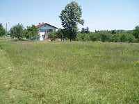 Regulated land in Sofia