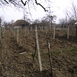 Big property with two houses