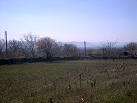 Terra regolamentata in Provadia