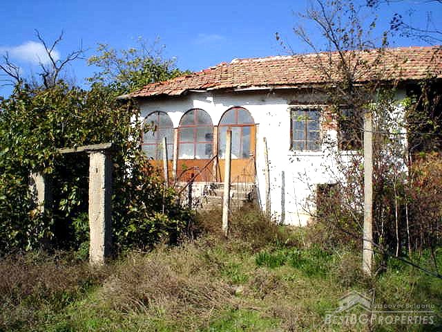 Small House With A Huge Garden