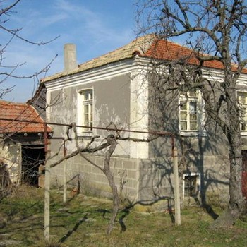 Spacious House