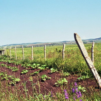 Two plots 5 km far from the sea