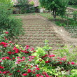 Great Offer Near Shoumen
