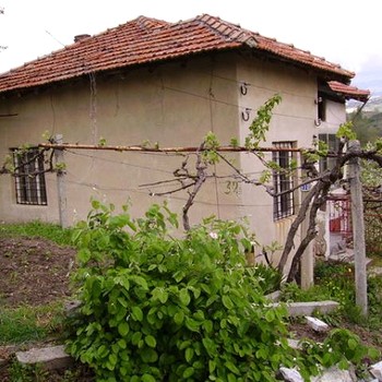 Well Maintained House