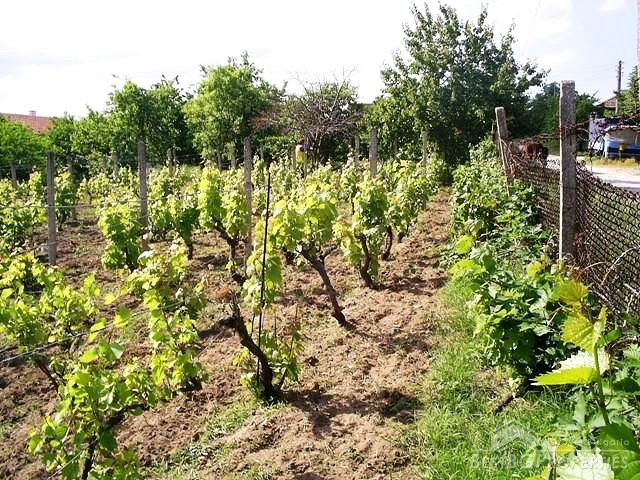 Wonderful Plot Just 10 Km From The Beach!!!