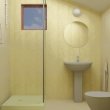 House renovation in Lozenitsa