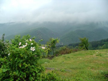 Peshtera Mountains