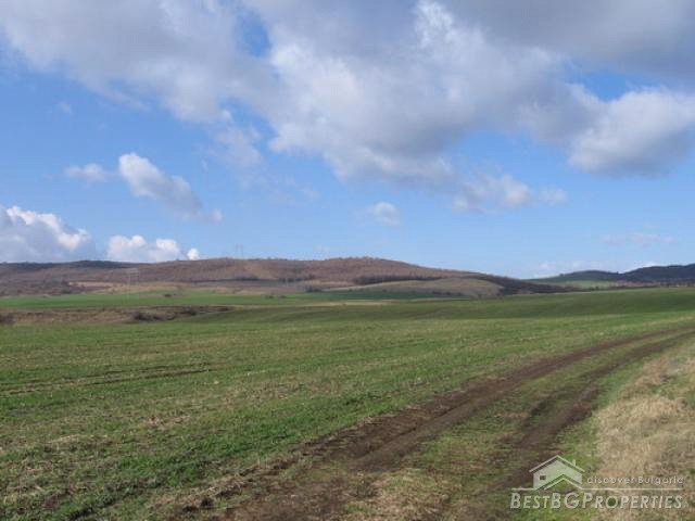 10000 Sq M Land In Regulation Near The Sea