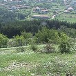 Meadow for sale near Veliko Tarnovo