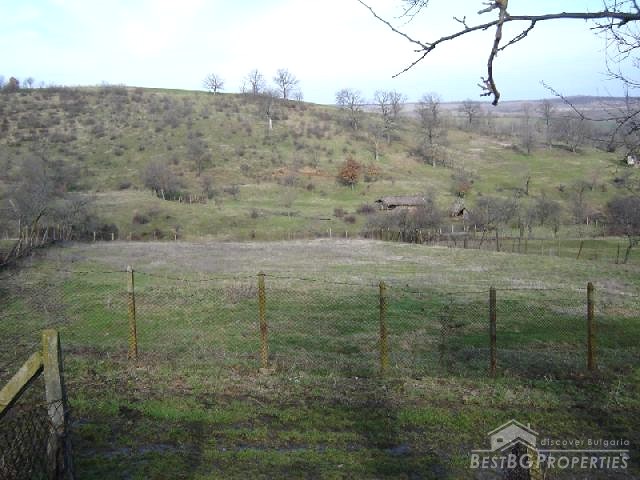 Land for sale near the seaside