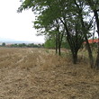 4000 sq m plot at the end of a nice village
