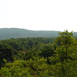 Agricultural land near the Black sea