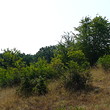 Agricultural land near the Black sea