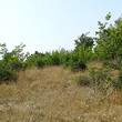 Agricultural land near the Black sea