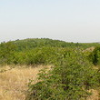 Agricultural land near the Black sea