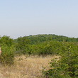 Agricultural land near the Black sea