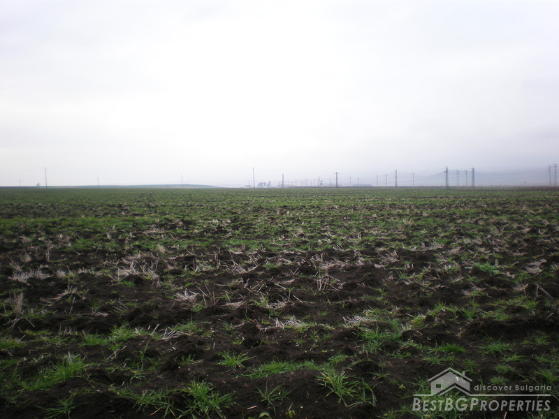 Agricultural plot of land for sale near Pmorie