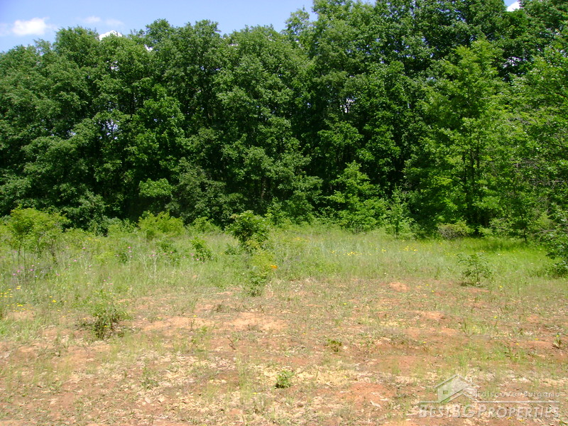Agricultural plot of land for sale near Bourgas