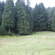 Agricultural plot of land for sale near Dospat