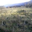 Agricultural plot of land for sale near Kyustendil