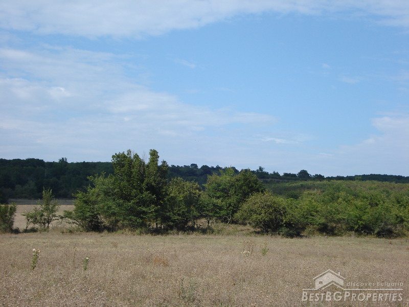 Agricultural plot of land for sale near Primorsko