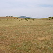 Agricultural plot of land for sale near Sliven