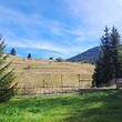 Amazing mountain house for sale near Pamporovo