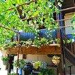 Amazing property for sale in the vicinity of Silistra