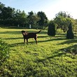 Amazing property for sale in the vicinity of Silistra