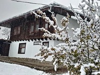 Houses in Elena