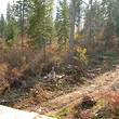 Apartments for sale in Bansko