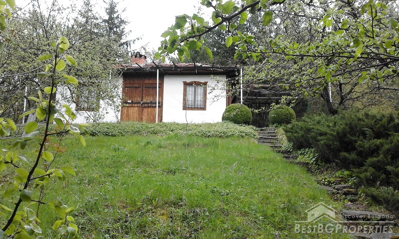 Beautiful property for sale in the mountains close to Dragoman