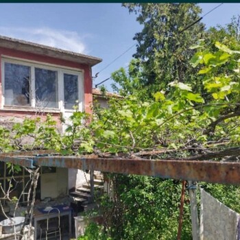 Houses in Dimitrovgrad