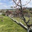 Country house for sale near Montana