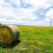 Country house for sale near Pleven