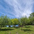 Countryside property for sale near Pernik