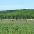 Development Land Near Lake