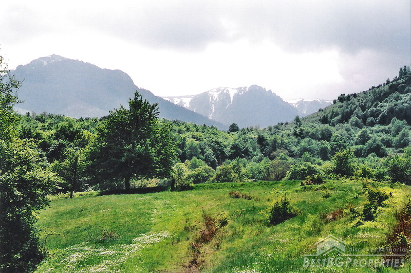 Development land for sale in the mountains near Montana