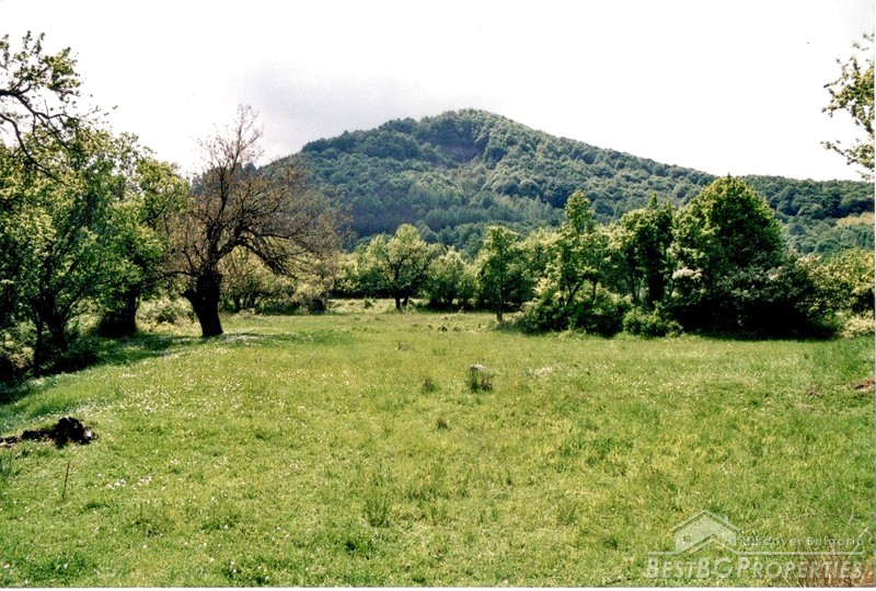 Development land for sale in the mountains near Montana