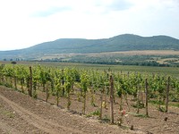 Development land for sale near Vratsa