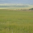 Development plot of land for sale near Slivnitsa