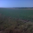 Development plots of land for sale near Kubrat