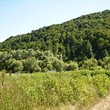 Forest for sale near Tryavna